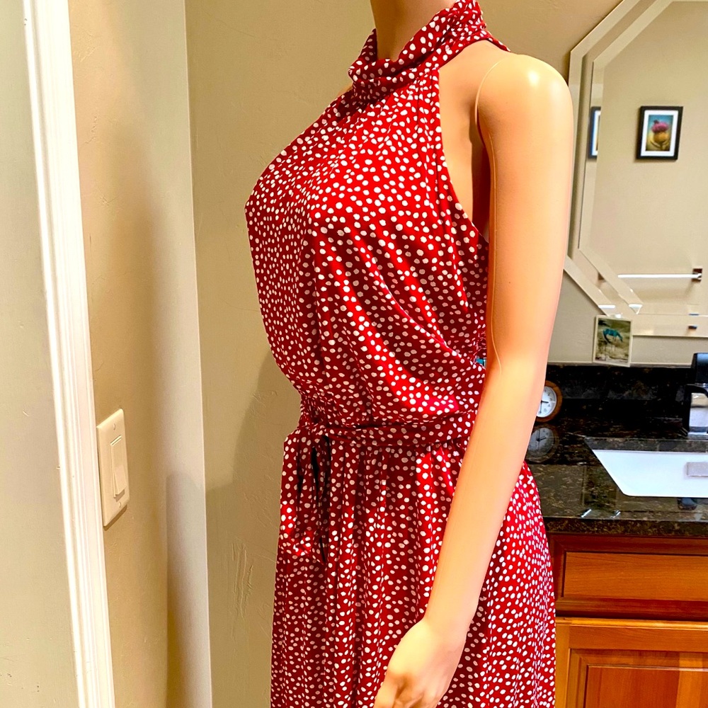 Enfocus Studio Red and White Polka Dotted Dress